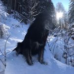 Corinne Bouchard - @cochx74 - Instagram