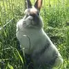 Corinne Ryckébush-Trognon - @corinne.ryckbusht - TikTok
