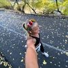 corinnecase - @runwithrin - TikTok