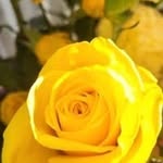 Corinne Cline - @corinne83510 - Instagram