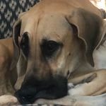 Corinne Cochran - @ccinnc1 - Instagram