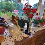 Corinne Brunner Elliott - @brunnerelliott - Instagram