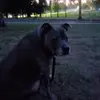 Corrine Griffith - @corrine.griffith - TikTok