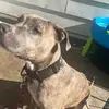 Corinne Hall - @corinne.hall8 - TikTok