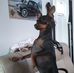 Corinne Hebert - Facebook