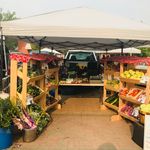 Pick a Peck Market Gardens - @corinne.howells.1 - Instagram