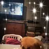 Corrine MacDonald - @corrine.macdonald0 - TikTok