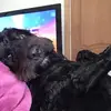 corinnenagle5 - @corinnenagle5 - TikTok