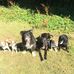 Corinne Phillips - Facebook