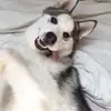 corinnerich1 - @corinnerich1 - TikTok