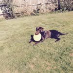 Corinne Roberts - @robsfamilyhome - Instagram