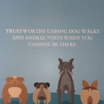 Corinne Roberts - @thedog_walkers - Instagram