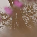 Corinne Wilder - @corinnewilders_photography - Instagram