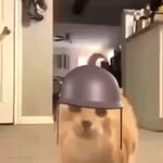 Cormac Mcgrath - @cormac766 - Instagram