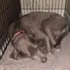 Cormac Peter Ryan - @cormac.peter.ryan - TikTok