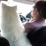 Cormac O'Sullivan - @cormac.osullivan.35 - Instagram