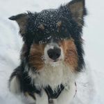 Cornelia Brandt - @cornelia.brandt.12 - Instagram