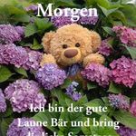 Cornelia Brandt - @corneliabrandt89 - Instagram