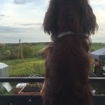 Cornelia Dietrich - @cornelia.dietrich.54 - Instagram
