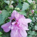 Cornelia Dietrich - @naturmensch08 - Instagram
