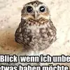 corneliadietrich6 - @corneliadietrich6 - TikTok