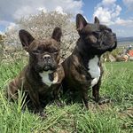 Cornelia Goldschmidt - @cornelia.goldschmidt - Instagram