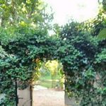 Cornelia Lang - @cornelia.lang.585 - Instagram
