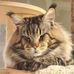 Cornelia Nagel - Facebook