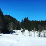 @cornelia.renner123 - Instagram