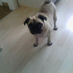 Cornelia Roß - @rosscornelia47 - Instagram