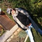 Cornelia Schuster - @conny160473 - Instagram