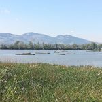 Cornelia Schuster - @cornelia.schuster.587 - Instagram