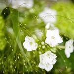 Cornelia Schuster - @great_rhg - Instagram
