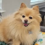 Cornelius_BB - @cornelius_barnes_bridge - Instagram