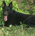 Cornelius Hamilton Charles - Facebook