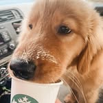 Murphy Cornelius - @murphycornelius_ - Instagram