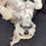 Benjamin Cornelius Perry III - @constant_benji - Instagram
