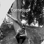 Perry Cornelius - @perrycornelius5 - Instagram