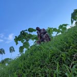 Cornelius Wesley Mari - @corneliusmari5 - Instagram