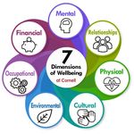 Cornell Wellness - @cornellwellness - Instagram