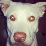 Cornell Jones - @cornell_jones_ - Instagram