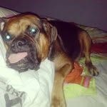 Cornell Miller - @glacewoodor - Instagram