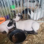 Nadine Cornell Miller - @nadinemiller651 - Instagram