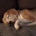 Allison Mitchell Cornell - @allisonmitchellcornell - Instagram