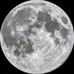 Cornell Moon Society ☾⋆⁺₊✧ - @bigredmoonclub - Instagram