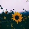 Cornell Price - @user409498698116 - TikTok