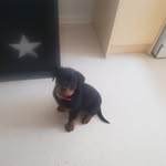Corrie Ellison - @ellisoncorrie - Instagram