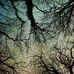 Corrie J Ellis - Facebook