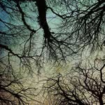 Corrie J Ellis Music - @corriejellismusic - Instagram