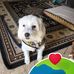 Corrie Hall - Facebook